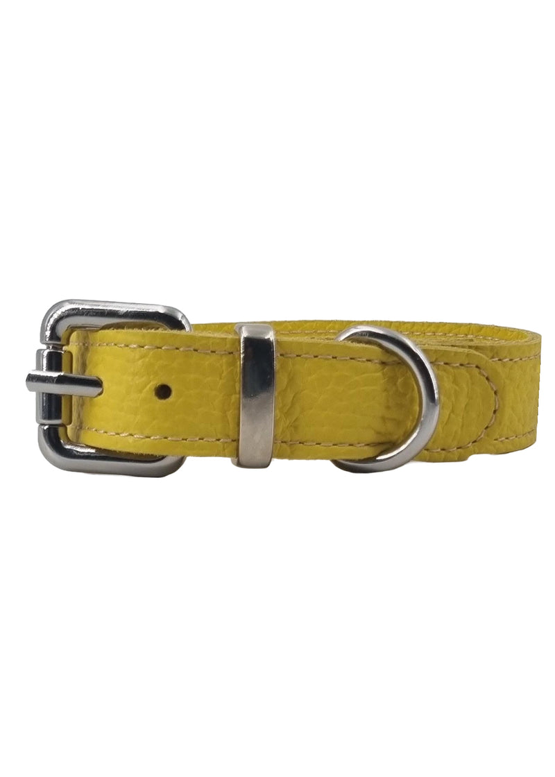 Paola T. Collare basic Fino al 65% di sconto