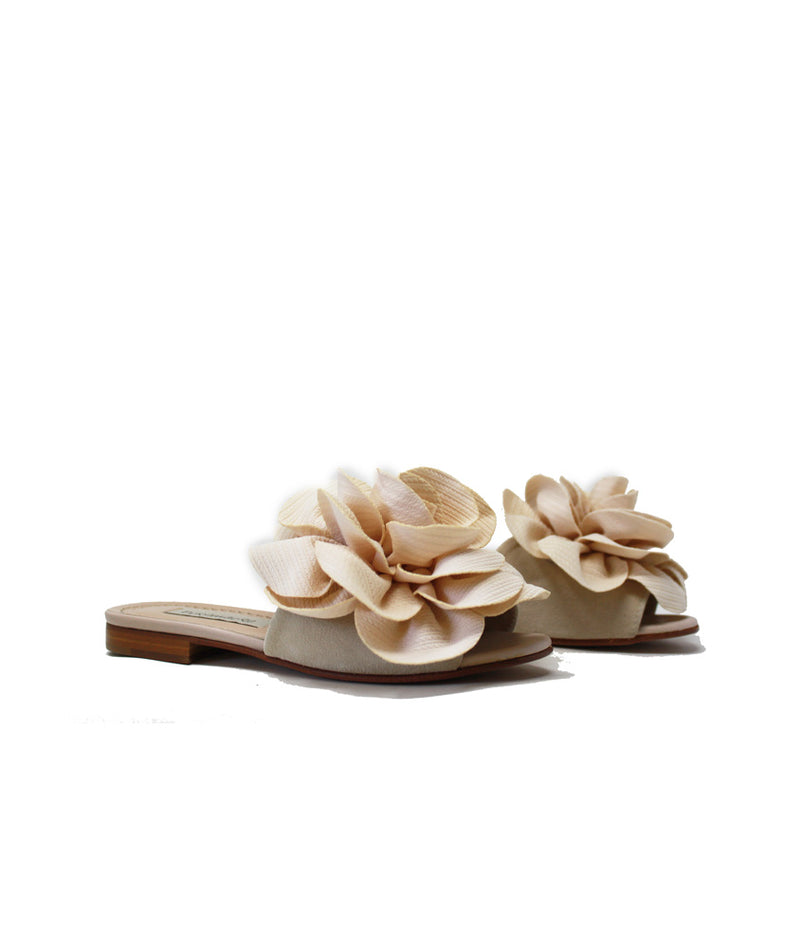 Pokemaoke Jolie camelia colore rosa Offerta speciale della fabbrica